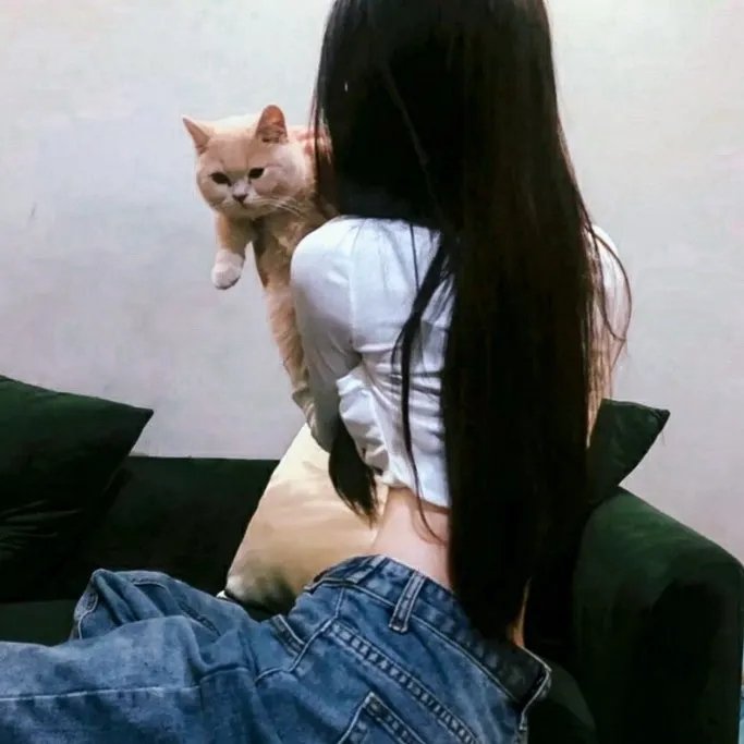 边城春梦