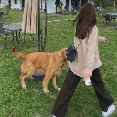 热血刑警